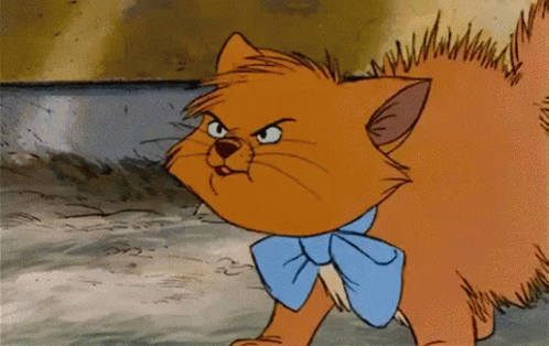 angry-cat.gif  BigFooty Forum
